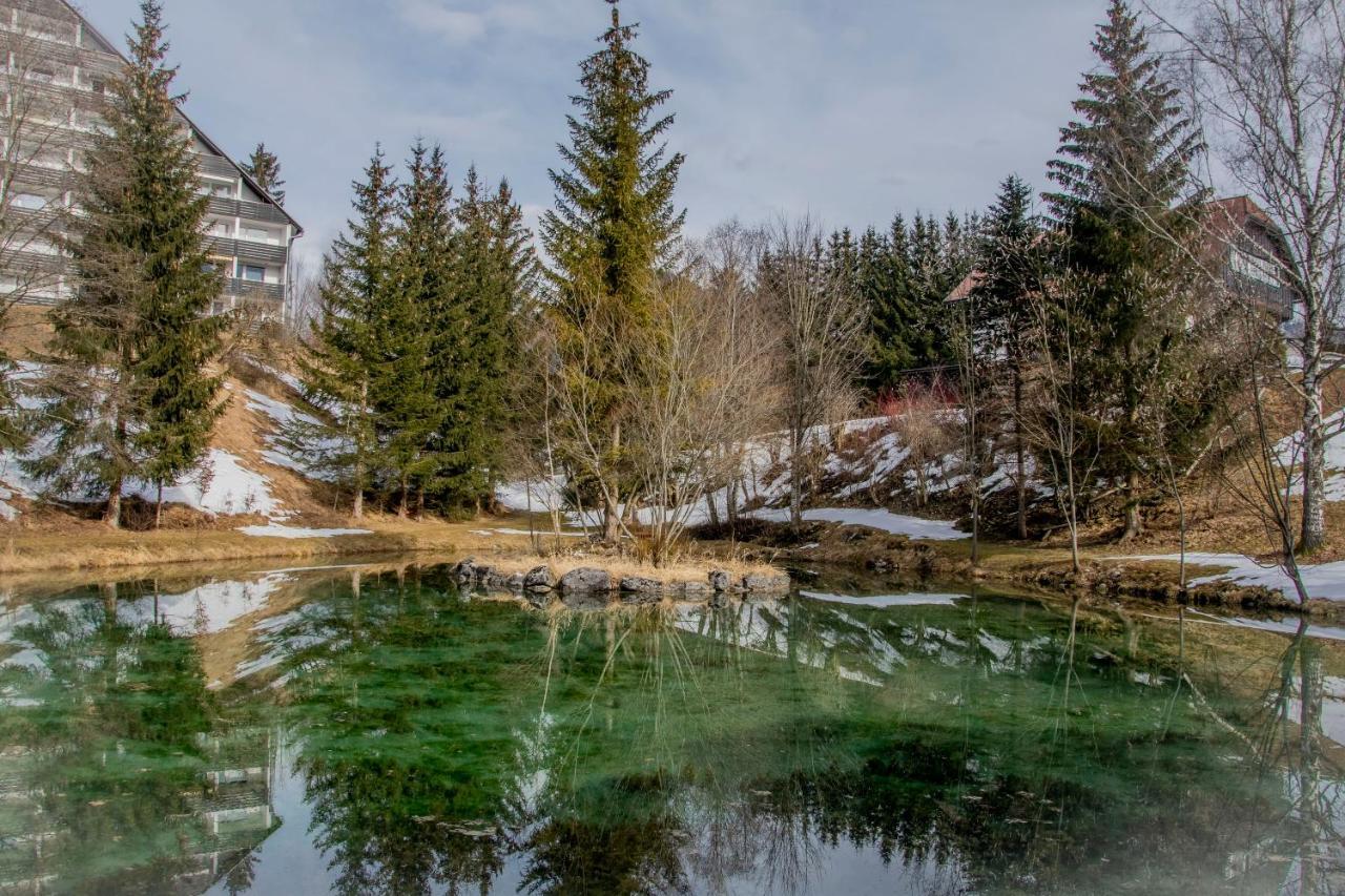 Ferienhaus Fux Bad Mitterndorf Eksteriør bilde
